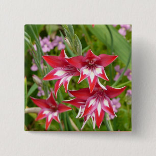 Bóton Quadrado 5.08cm Gladiolas Vermelhas e Brancas Verão Botânico