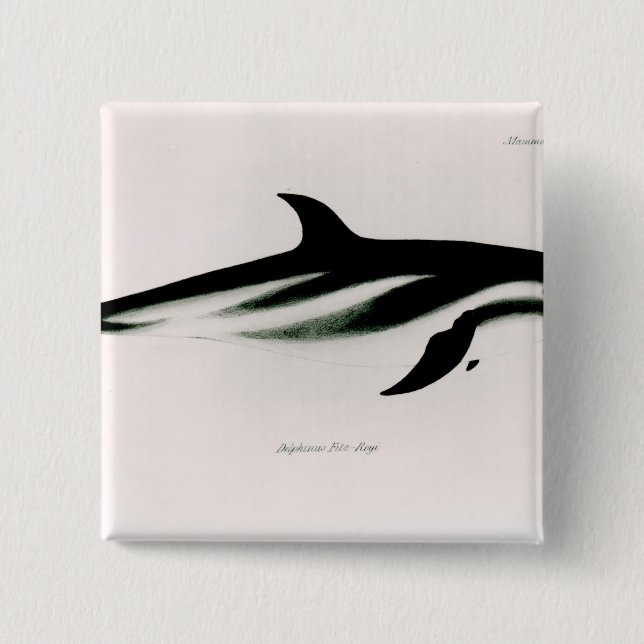 Bóton Quadrado 5.08cm Golfinho (Frente)