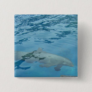 Bóton Quadrado 5.08cm Golfinho sorridente