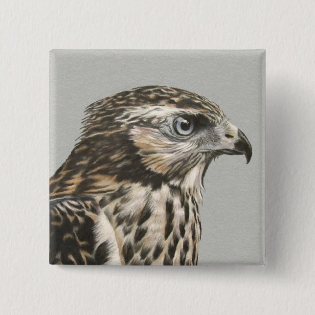 Bóton Quadrado 5.08cm Goshawk imaturo (Frente)