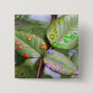 Bóton Quadrado 5.08cm Gotejamento com orgulho