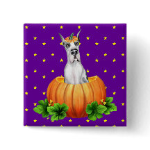 Grande Dane Halloween Harlequin Dane-O-Lantern