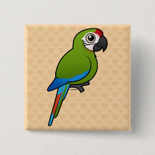 Bóton Quadrado 5.08cm Grande Macaw verde