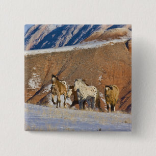 Bóton Quadrado 5.08cm Grandes Montanhas Horn, Cavalos correndo