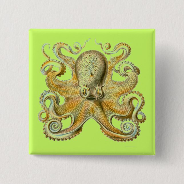 Bóton Quadrado 5.08cm Haeckel Octopus (Frente)