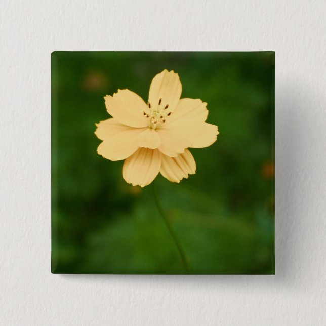 Bóton Quadrado 5.08cm Harmonia Pacífica (Frente)