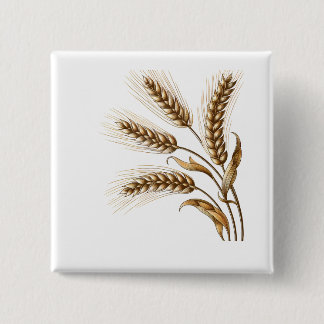 Bóton Quadrado 5.08cm Harvest Wheat Ears Button – Rustic Farm Charm