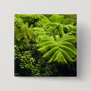Bóton Quadrado 5.08cm Havaí, Ilha Grande, Vegetação tropical exuberante