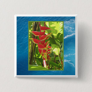Bóton Quadrado 5.08cm Heliconia rostrata