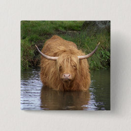 Bóton Quadrado 5.08cm Highland Cattle