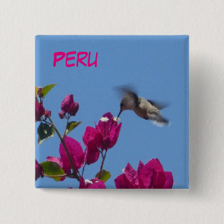 Bóton Quadrado 5.08cm Hummingbird do Botão Peru