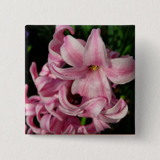 Bóton Quadrado 5.08cm Hyacinth Primavera Floral rosa (Frente)