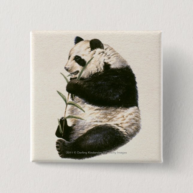 Bóton Quadrado 5.08cm Ilustração da panda gigante que alimenta no bambu (Frente)