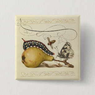 Bóton Quadrado 5.08cm Ilustração de Arte da Lagarta da Borboleta de Ab