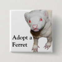 Imagem de Albino Ferret