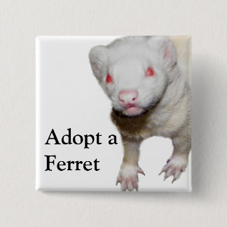 Bóton Quadrado 5.08cm Imagem de Albino Ferret