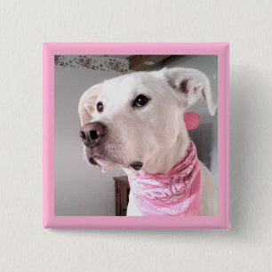 Bóton Quadrado 5.08cm Imagem de Cão Cachorro Branco Cachorro Vestido Ro