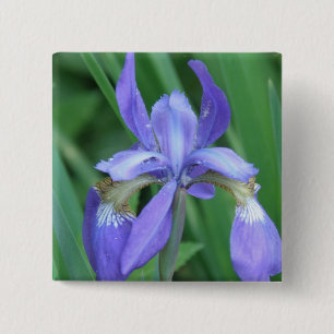 Bóton Quadrado 5.08cm Imagem do Pin do quadrado da íris