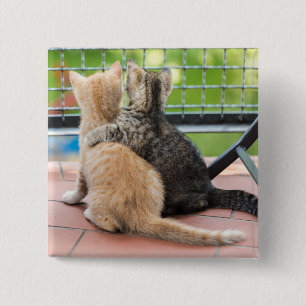 Bóton Quadrado 5.08cm Imagens de Getty dois gatinhos em um balcão