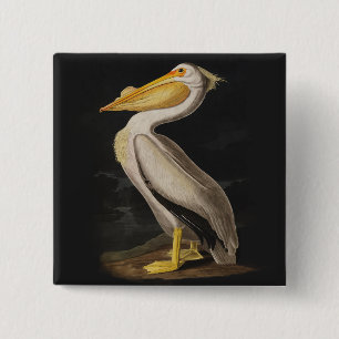 Bóton Quadrado 5.08cm Impressão Pelicano Branco de Audubon
