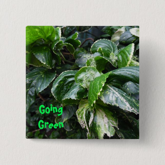 Bóton Quadrado 5.08cm Indo às plantas da casa verde (Frente)
