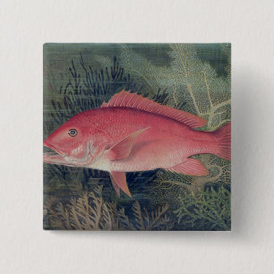 Bóton Quadrado 5.08cm Instantâneo Vermelho, de 'Peixes de Jogo dos Esta