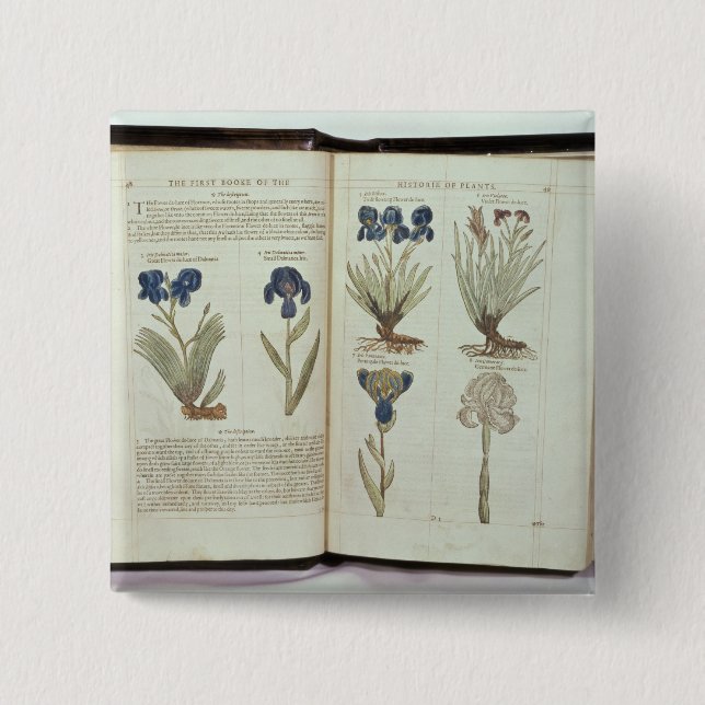 Bóton Quadrado 5.08cm Íris (Frente)