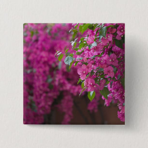 Bóton Quadrado 5.08cm Itália, Sicília, Cefalu, pátio de flores