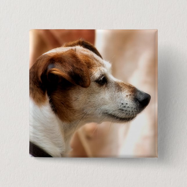 BÓTON QUADRADO 5.08CM JACK RUSSELL TERRIER DOG (Frente)