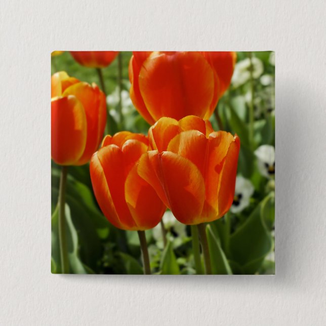 Bóton Quadrado 5.08cm Jardim de Tulipas da Primavera (Frente)