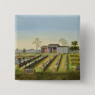 Bóton Quadrado 5.08cm Jardim do berçário, c.1820-40 (w/c no papel)