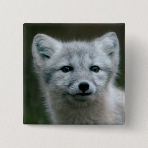 Bóton Quadrado 5.08cm Jogo do Fox ártico das imagens   de Getty