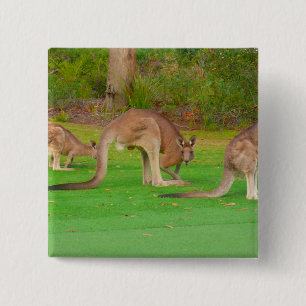 Bóton Quadrado 5.08cm kanga