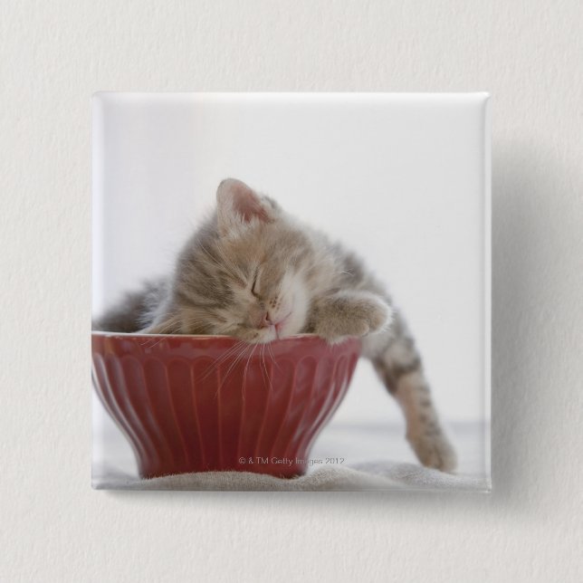 Bóton Quadrado 5.08cm Kitten Dormindo em Bowl (Frente)