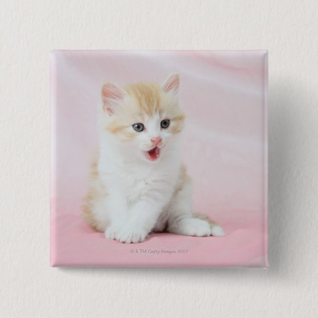 Bóton Quadrado 5.08cm Kitten no fundo rosa (Frente)