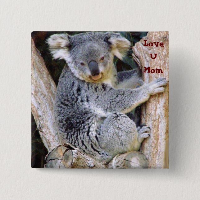 Bóton Quadrado 5.08cm Koala Bear Love (Frente)