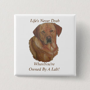 Bóton Quadrado 5.08cm labrador amarelo retrador cão retrato slogan diver