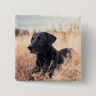 Bóton Quadrado 5.08cm Labrador Preto De Grama Seca