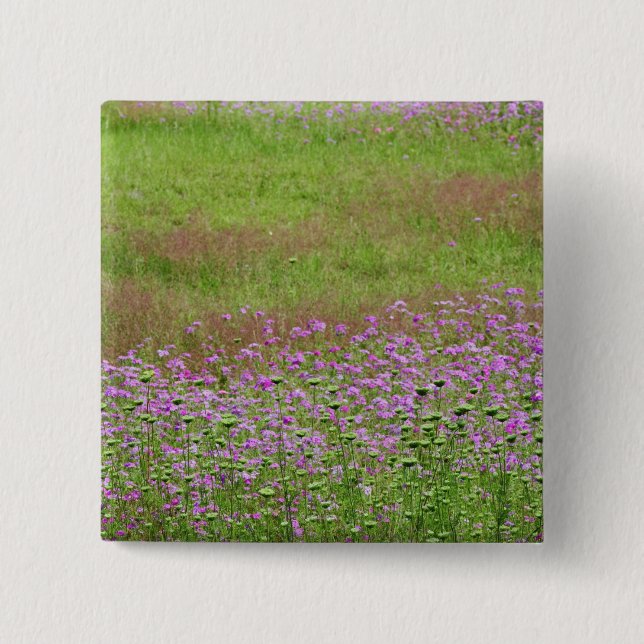 Bóton Quadrado 5.08cm Lace Daucus carota da Rainha Anne) (Frente)