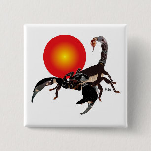 Bóton Quadrado 5.08cm Lacrau Button