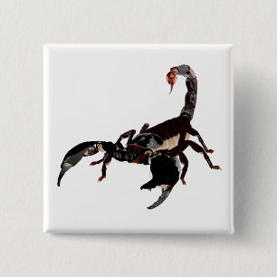 Bóton Quadrado 5.08cm Lacrau Button