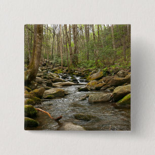 Bóton Quadrado 5.08cm LeConte Creek nas Montanhas do Enfumaçado do Excel