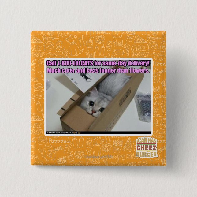 Bóton Quadrado 5.08cm Ligue para 1-800-LOLCATS (Frente)