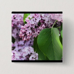 Bóton Quadrado 5.08cm Lilac bonito