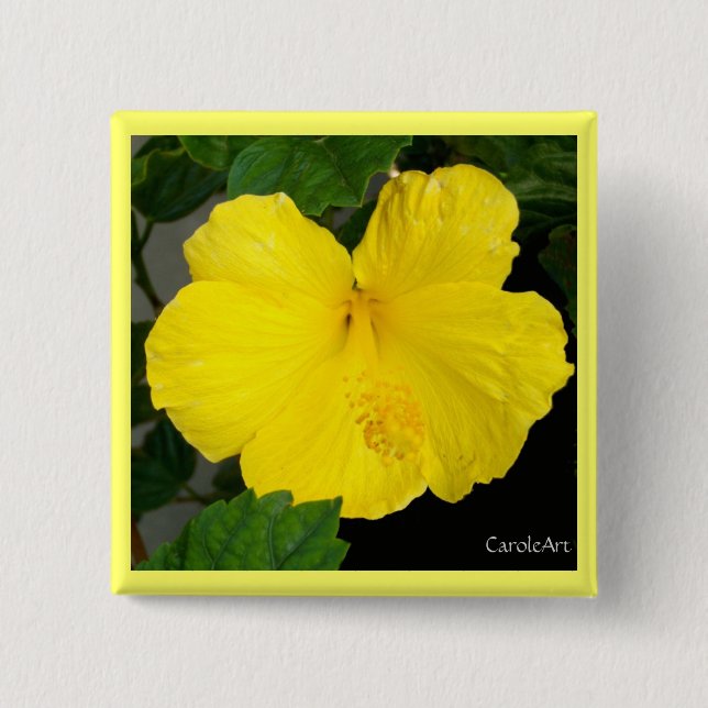 Bóton Quadrado 5.08cm Limão - hibiscus amarelo (Frente)
