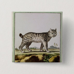 Bóton Quadrado 5.08cm Lince canadense