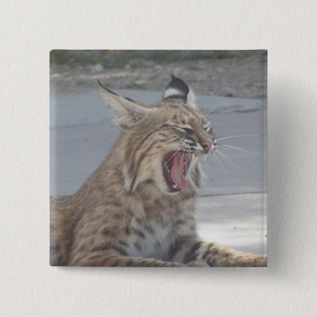 Bóton Quadrado 5.08cm Lince de bocejo (Frente)