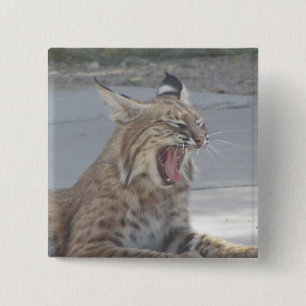 Bóton Quadrado 5.08cm Lince de bocejo