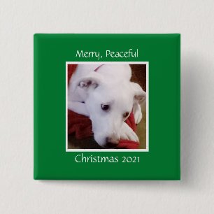 Bóton Quadrado 5.08cm Linda Praça de Natal Verde Cachorro Branca de Nev