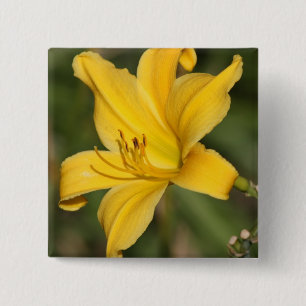 Bóton Quadrado 5.08cm Lírio decorativo amarelo